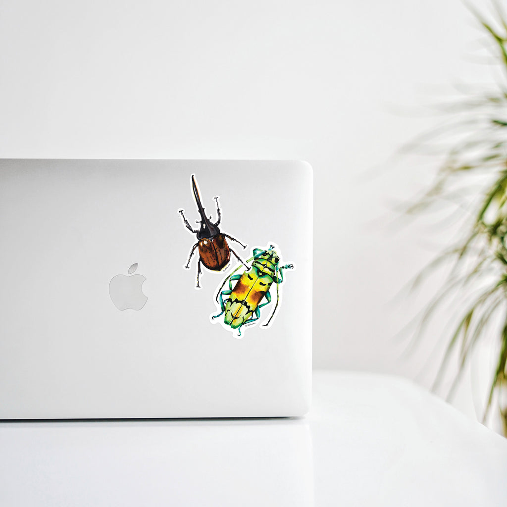 laptop decorated with insect stickers