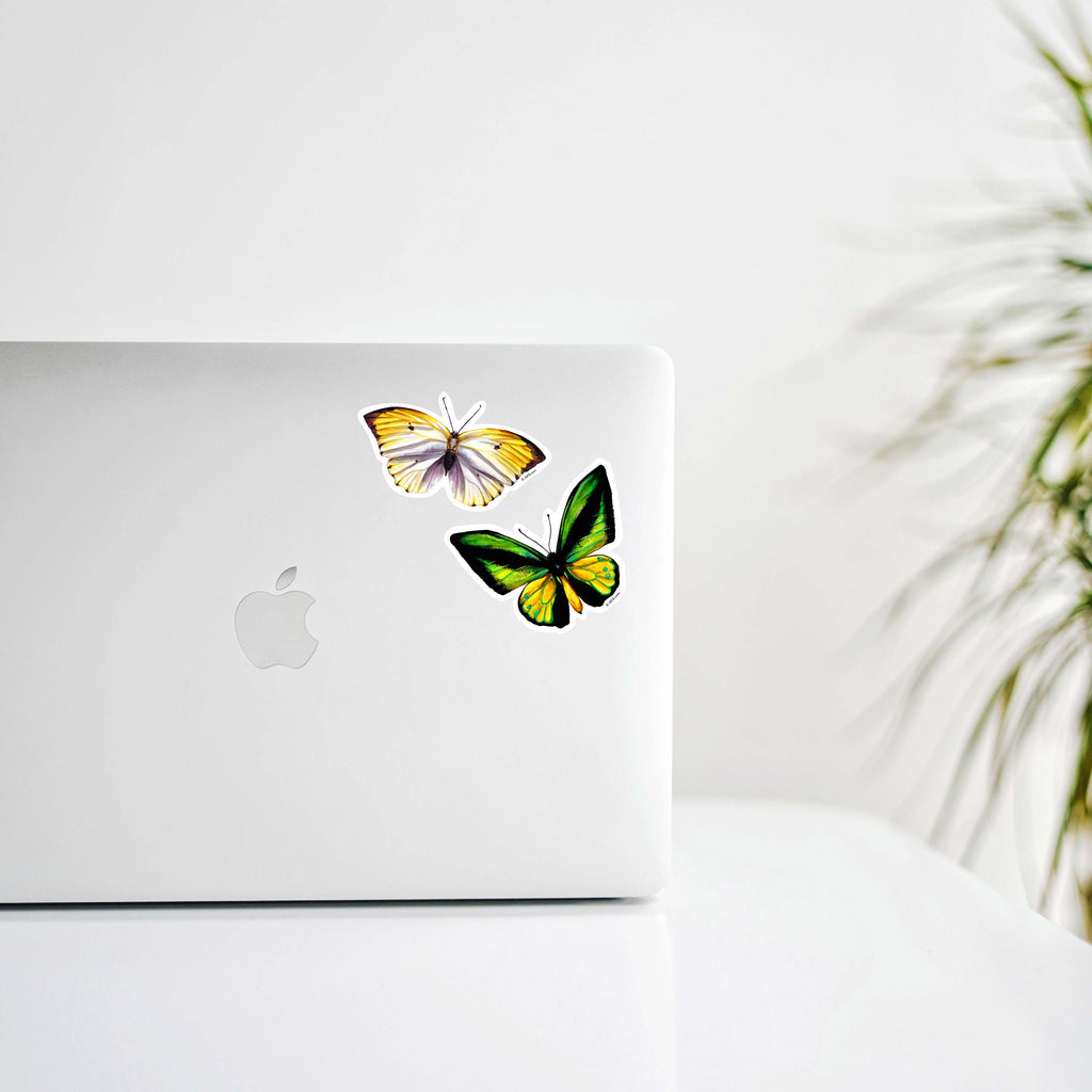 green and yellow butterfly stickers on laptop