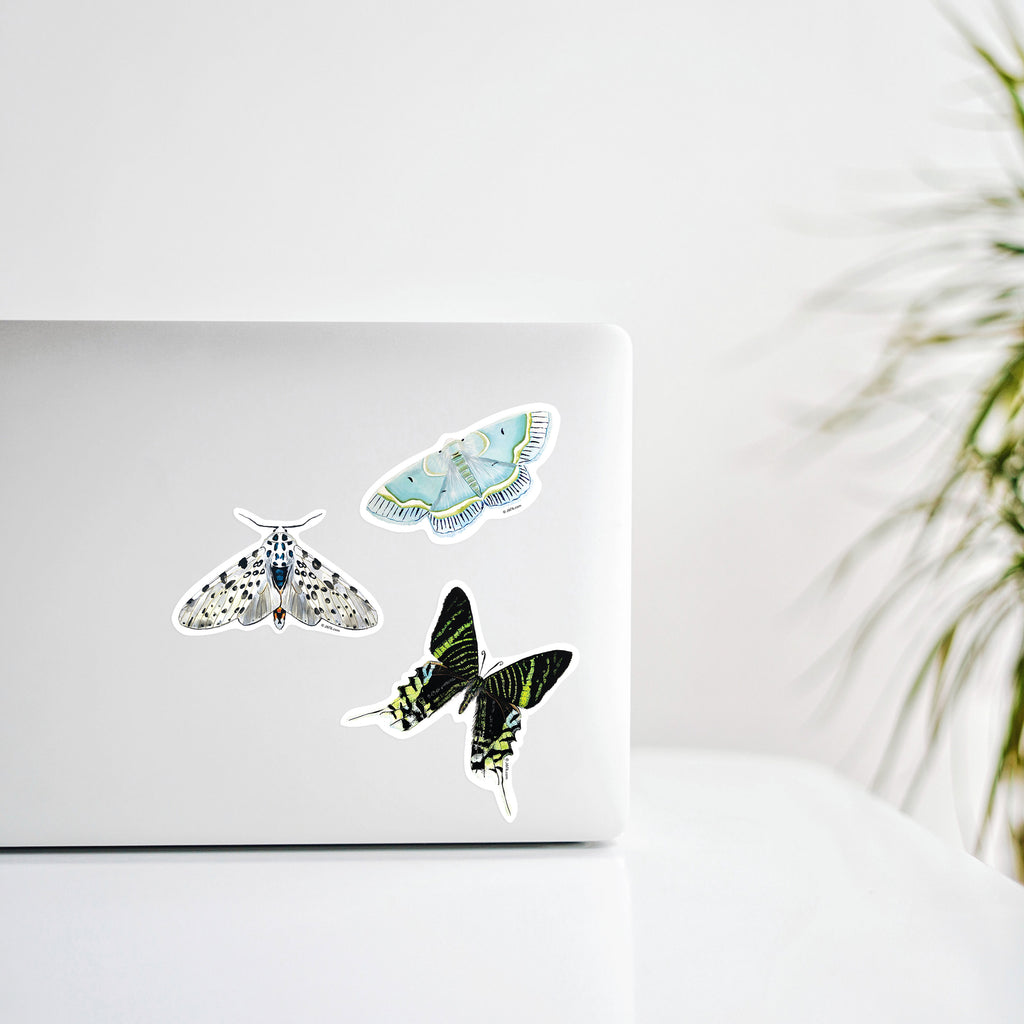 laptop decorated with moth stickers