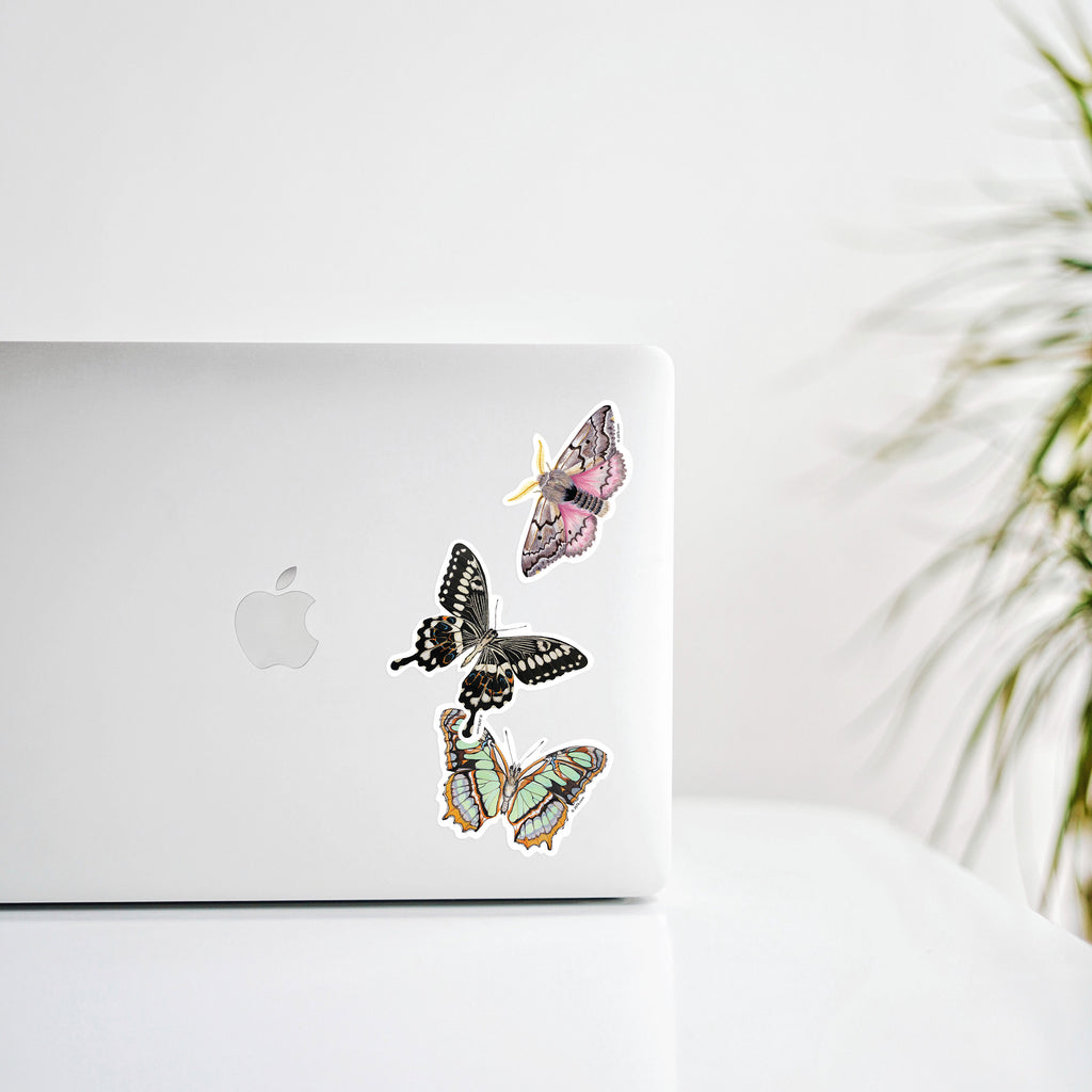 moths and butterfly stickers decorating a laptop