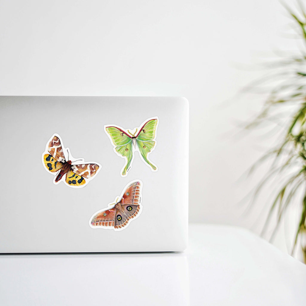 moth stickers on lap top