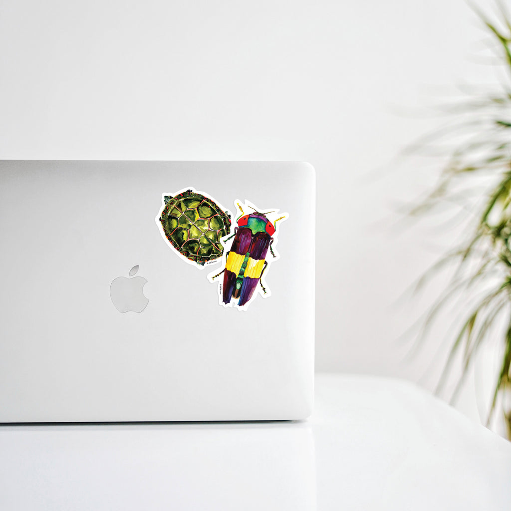 turtle and insect stickers decorating a laptop computer