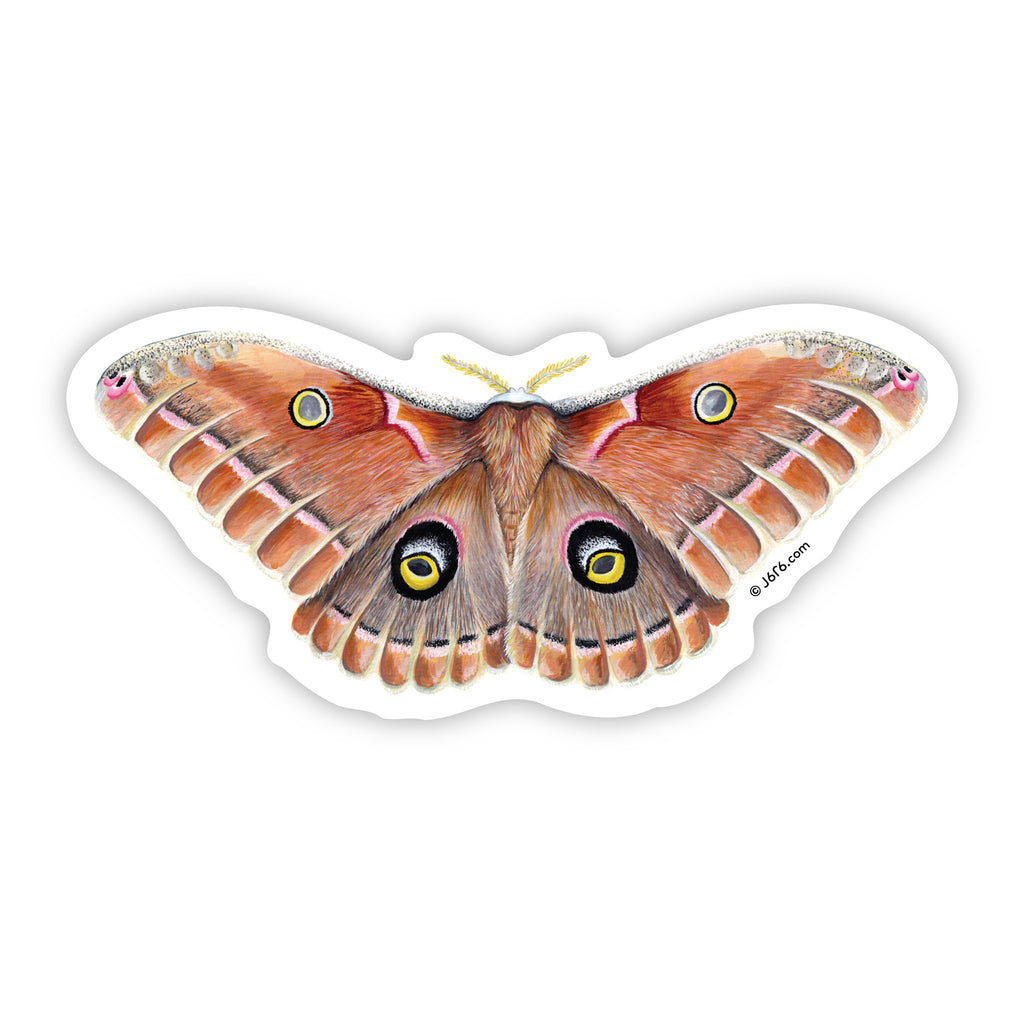 brown and pink moth sticker by J6R6