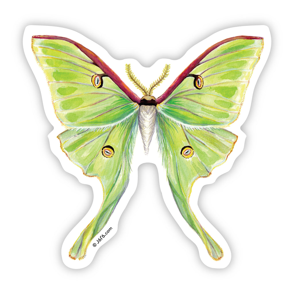 green moth sticker by J6R6
