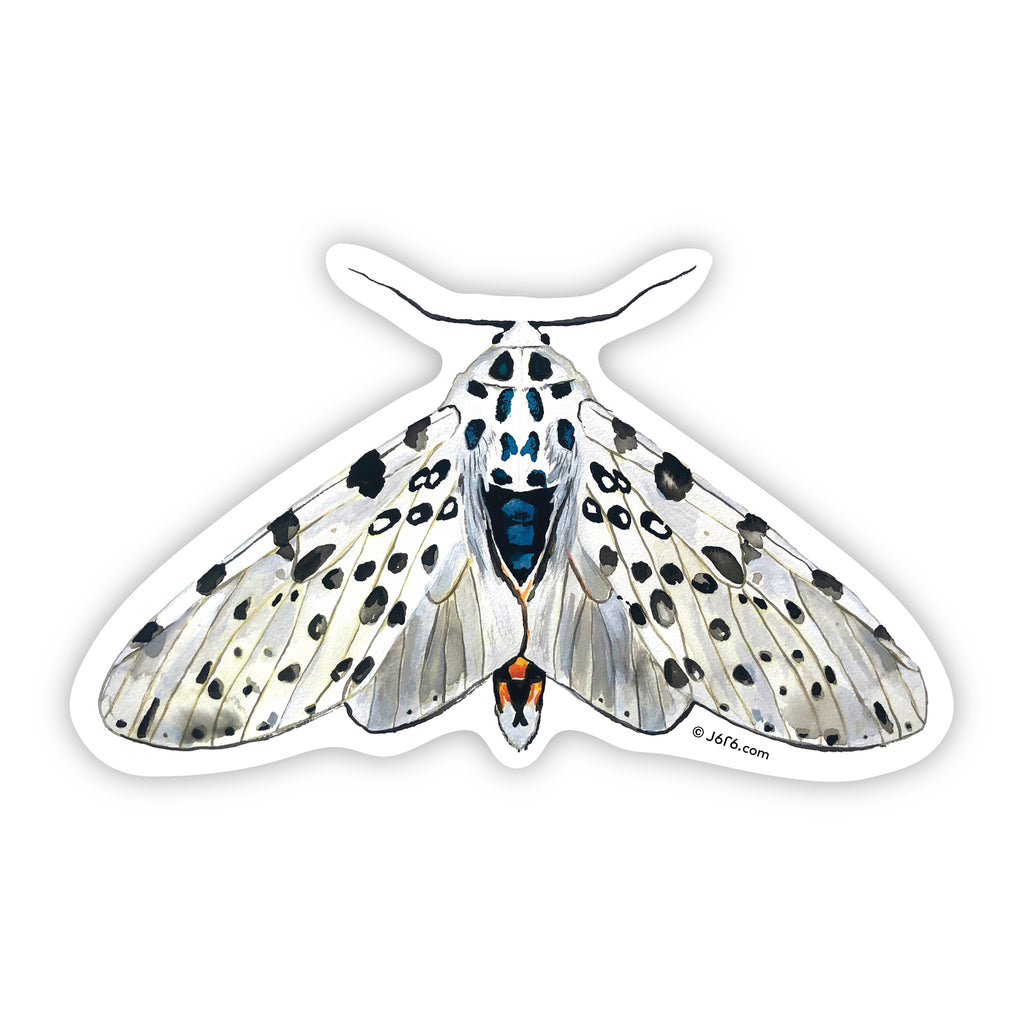 black and white leopard moth sticker by J6R6