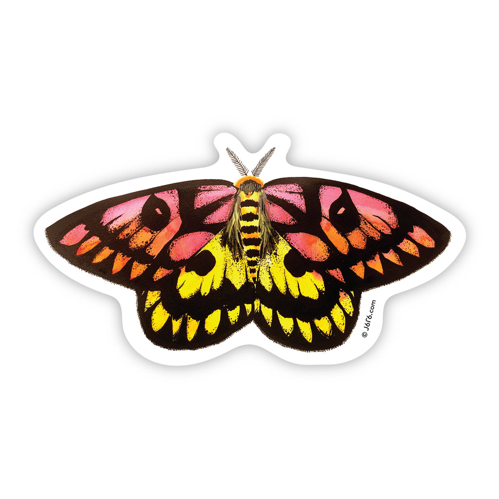 yellow pink and black moth by J6R6