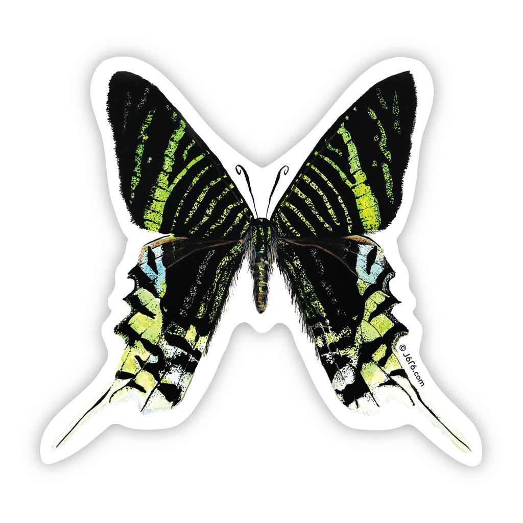 green and black moth sticker by J6R6