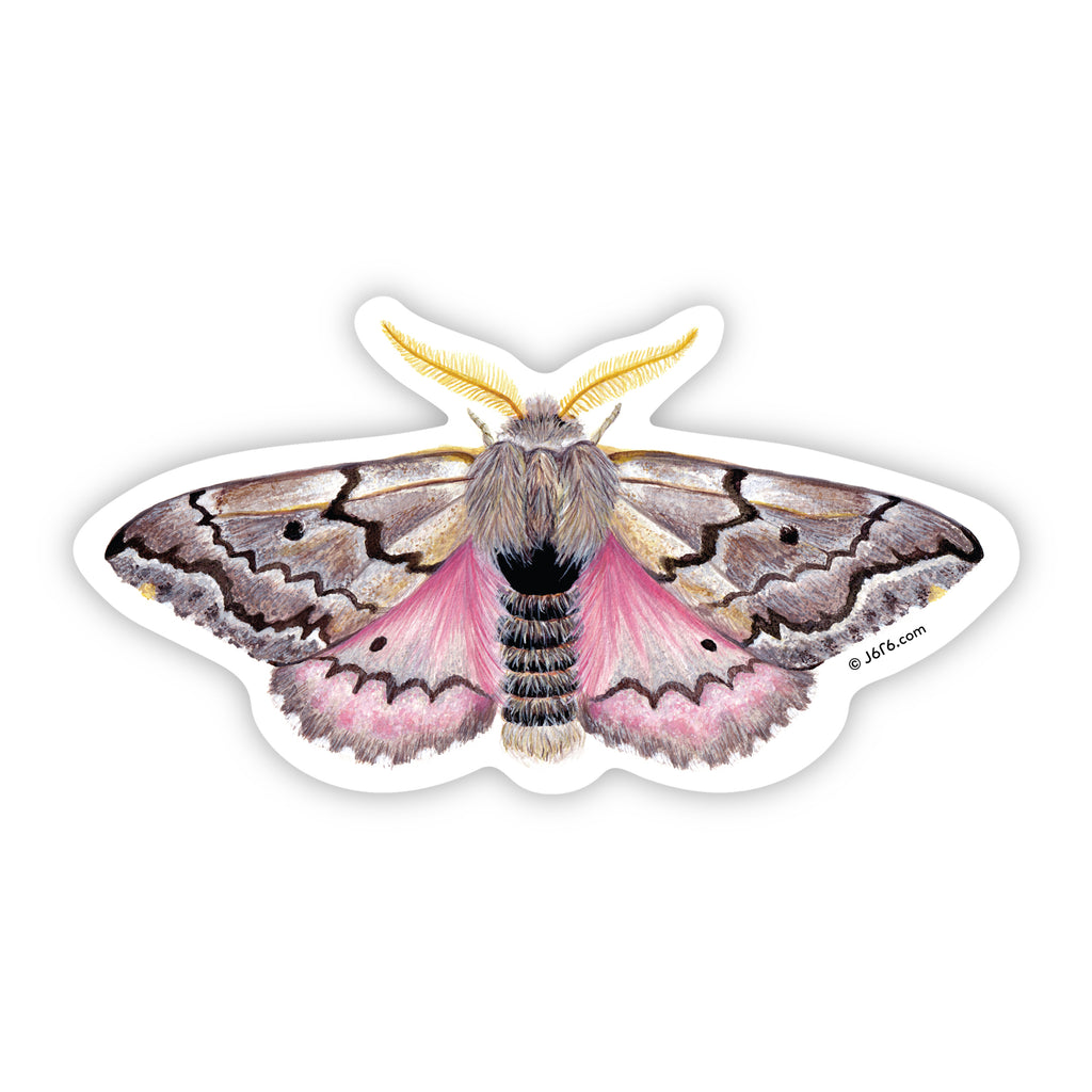 pink and brown moth sticker by J6R6