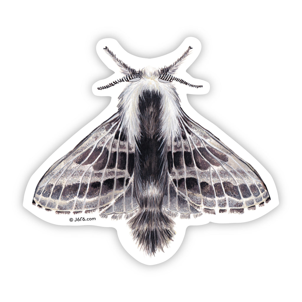 tolype moth vinyl sticker by J6R6