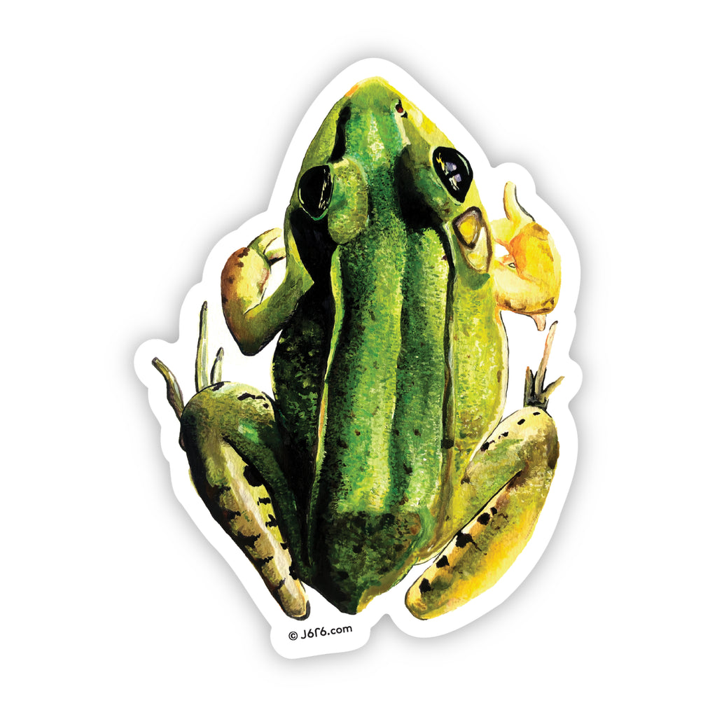 J6R6 green frog vinyl sticker