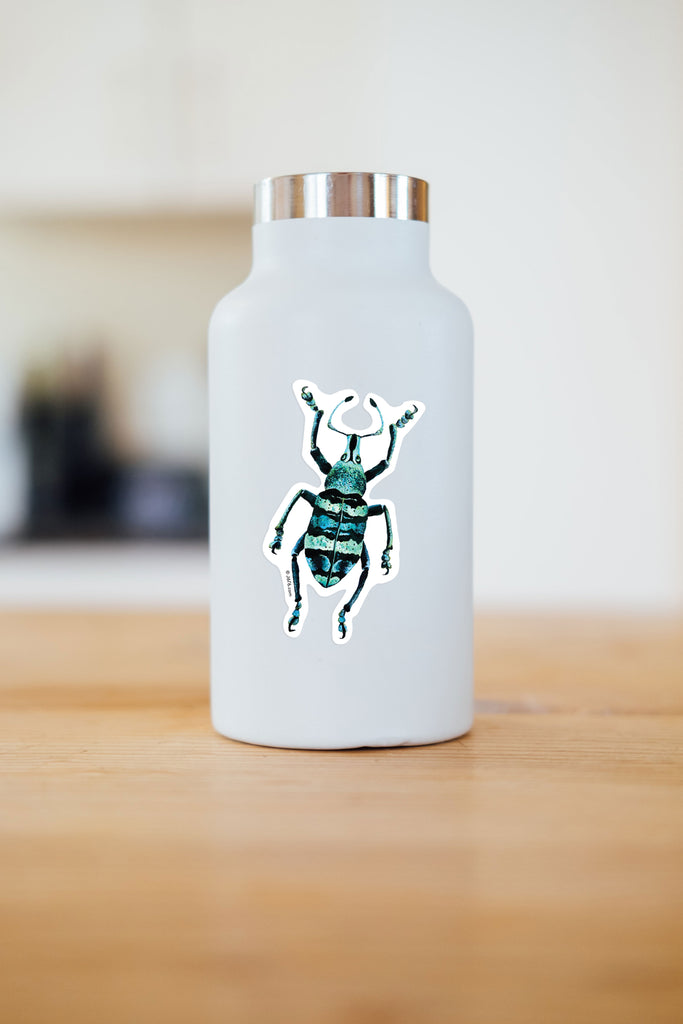 turquoise and black weevil sticker on water bottle