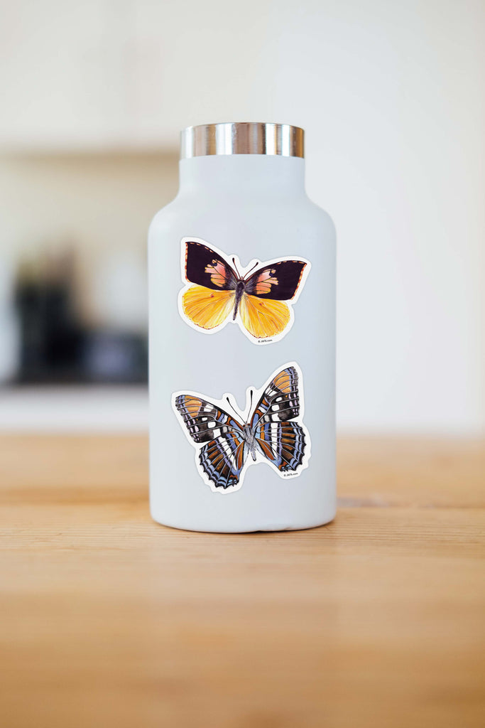 yellow and pink butterfly on water bottle