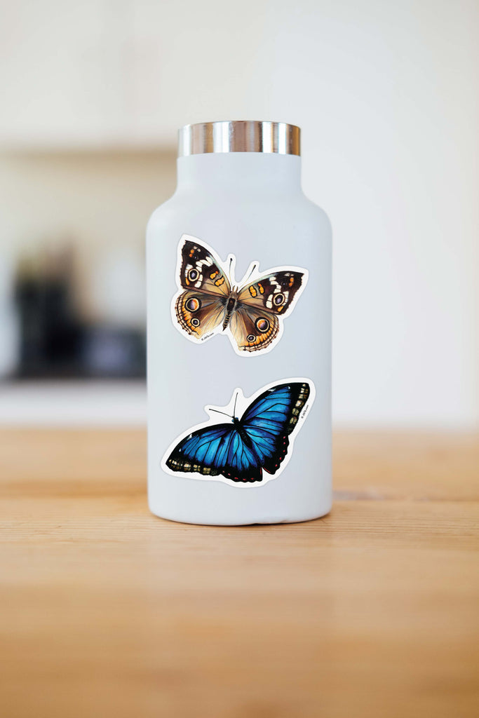 brown and orange butterfly on water bottle