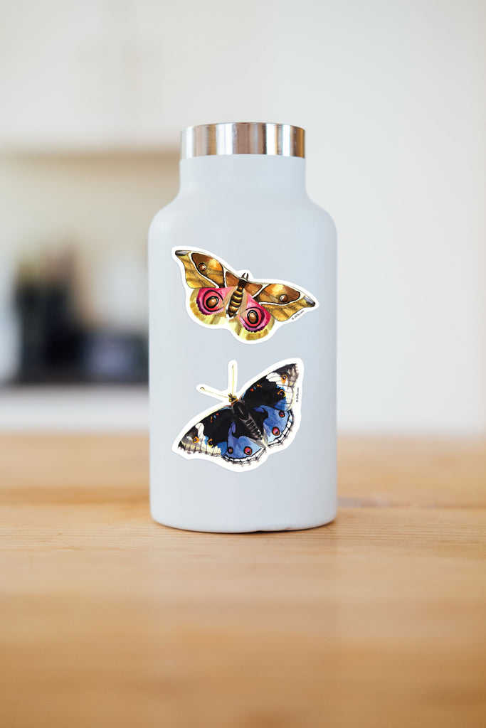 moth and butterfly sticker on water bottle