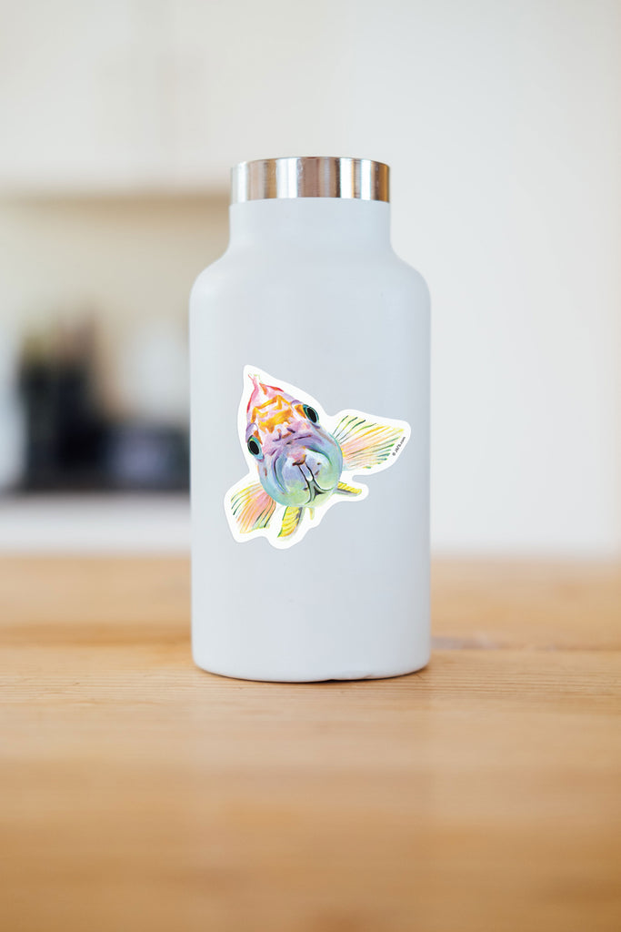 water bottle decorated with vinyl fish sticker