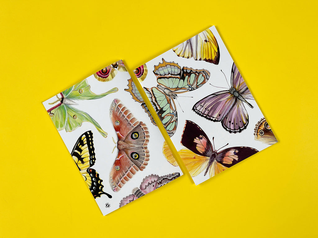 butterfly notebook front and back