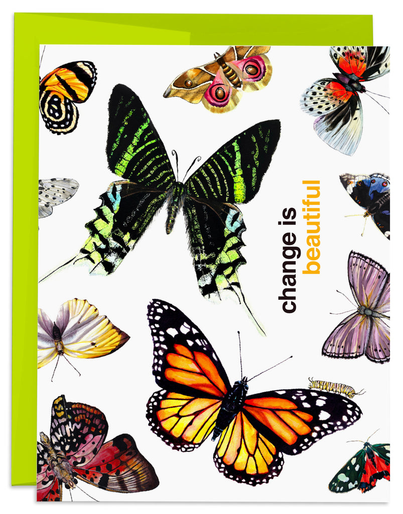 butterfly and moth "change is beautiful" card front