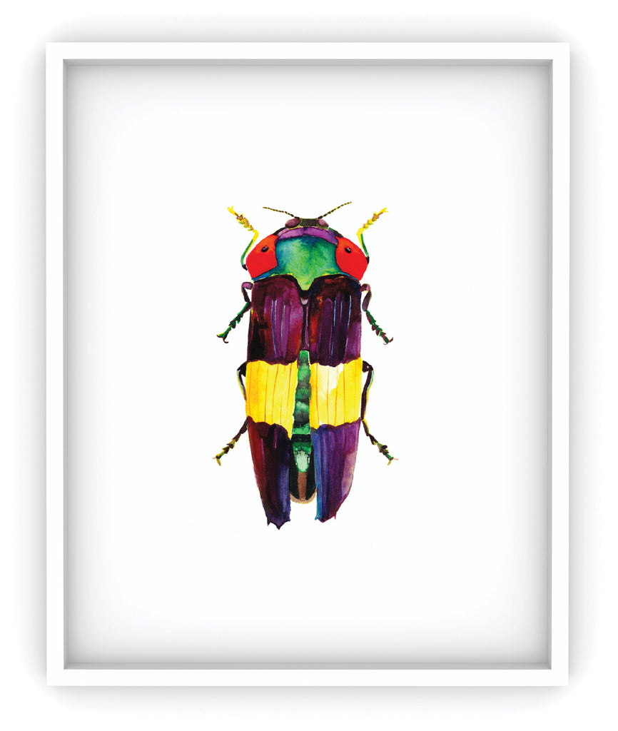 rainbow jewel beetle framed art print