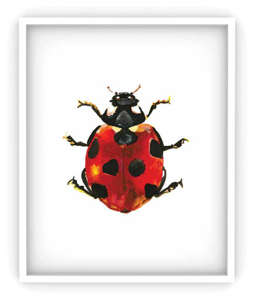 framed red ladybug art print