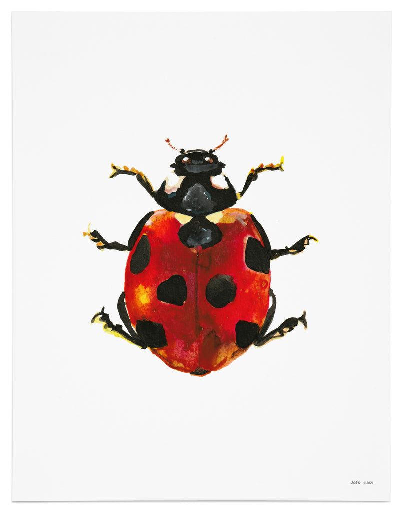 red ladybug art print