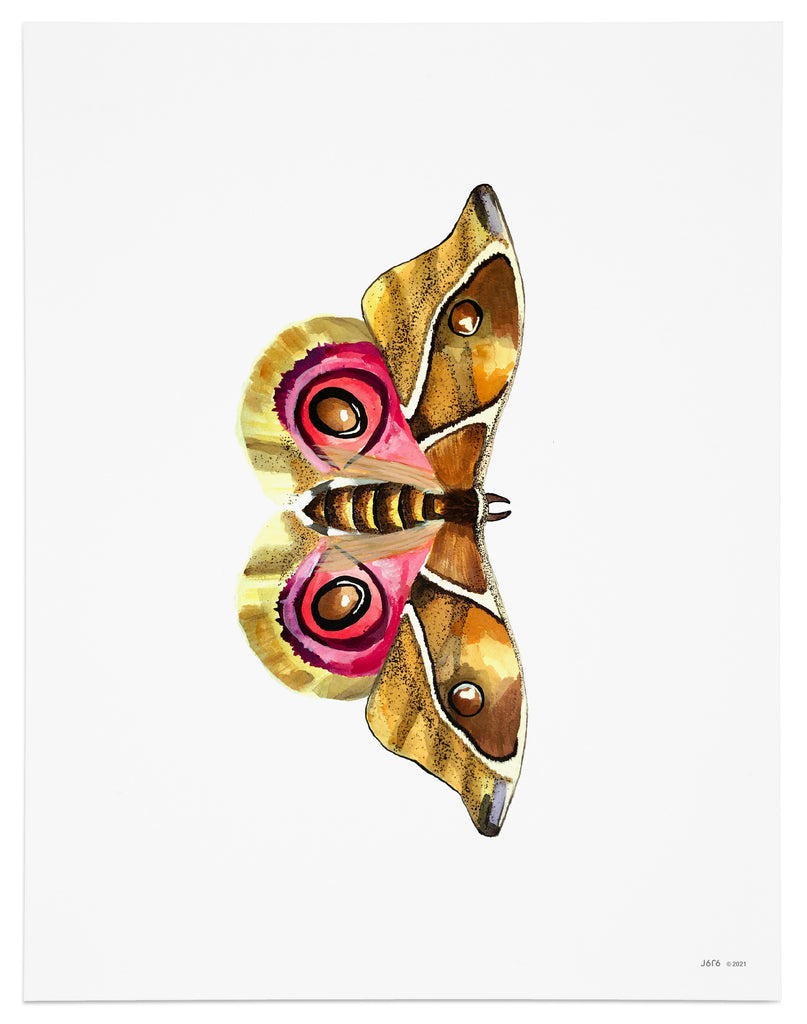 yellow brown and pink moth art print