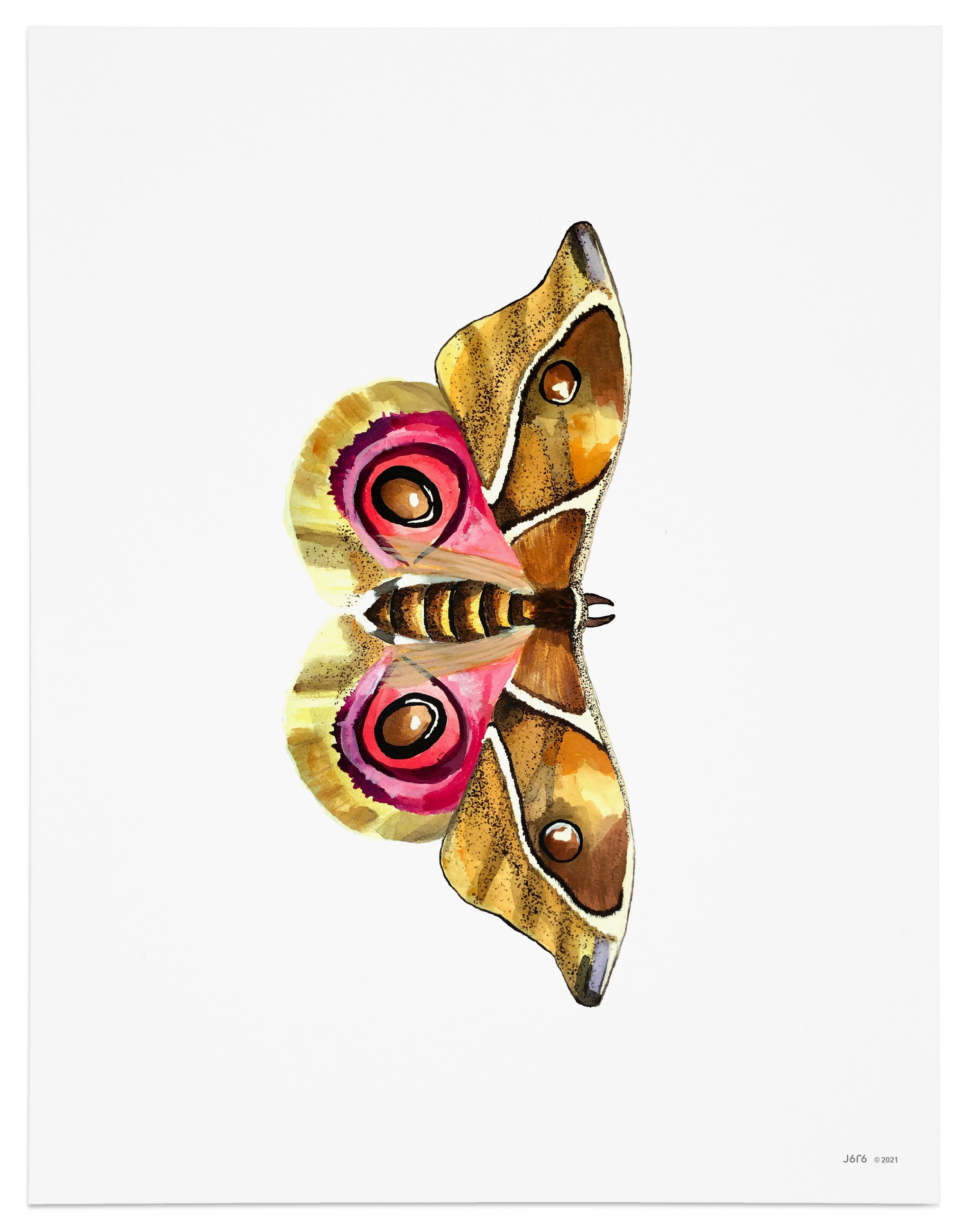 Rachel Zhora アートブック An Artxzay Coloring Book: Fofana, Zeinab: 9798385737932