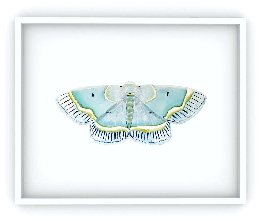 framed blue and green moth art print