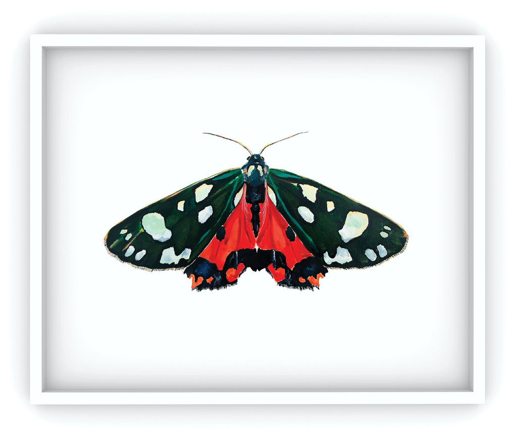 framed red and green moth art print