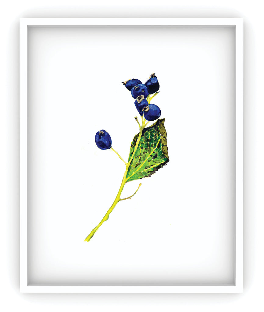 framed blue berries on branch art print