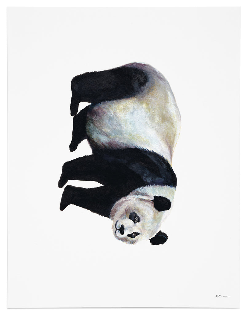 black and white panda bear art print