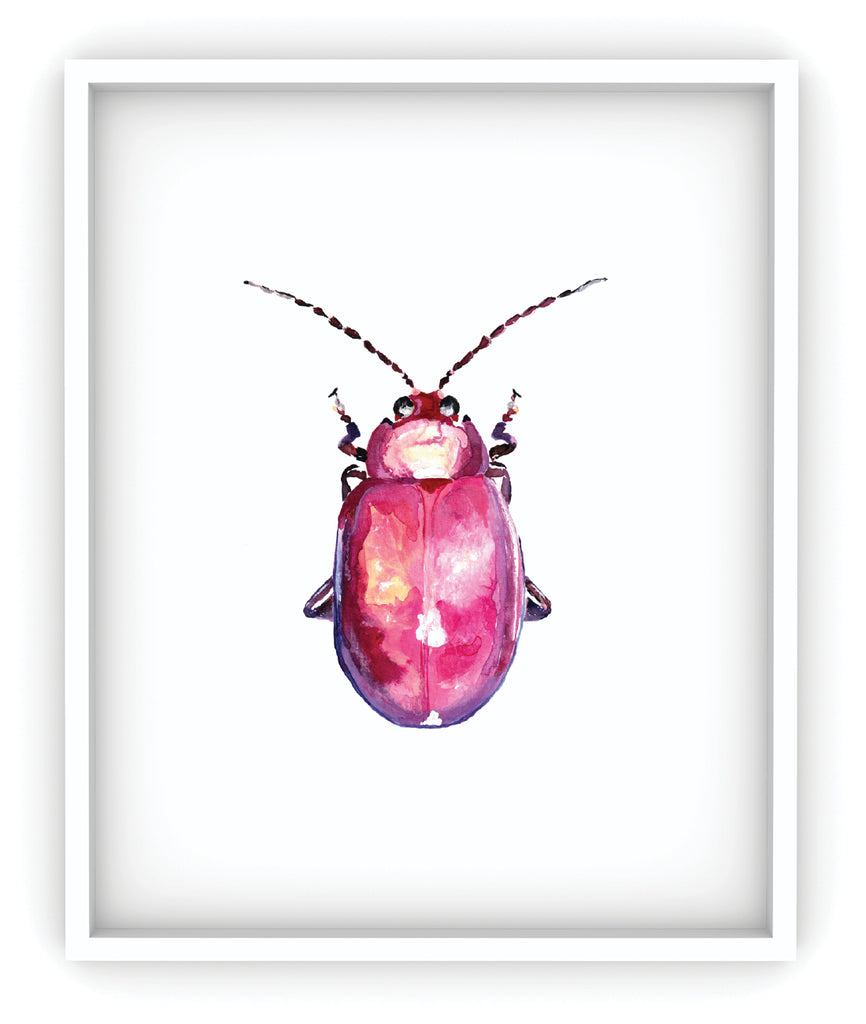 framed pink flea beetle art print