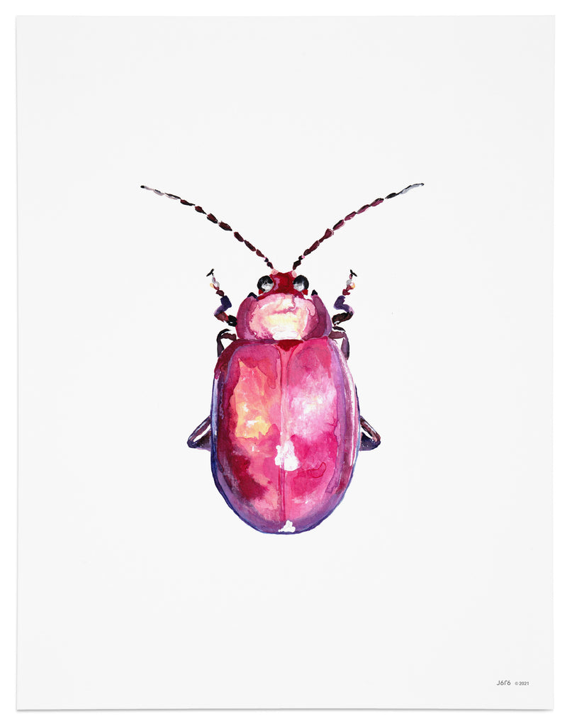 pink flea beetle art print