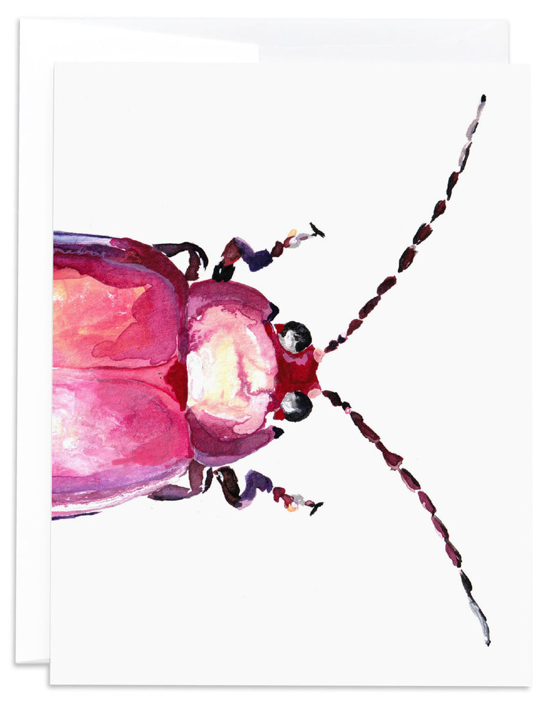 pink flea beetle notecard front
