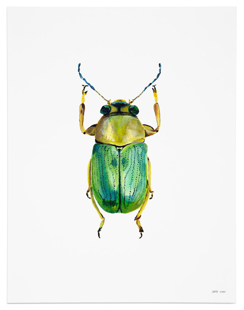 yellow and green scarab beetle art print