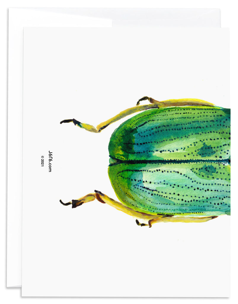 yellow and green scarab beetle notecard back