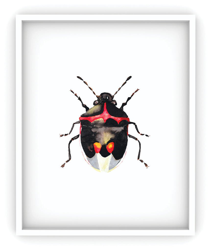 framed stink bug art print