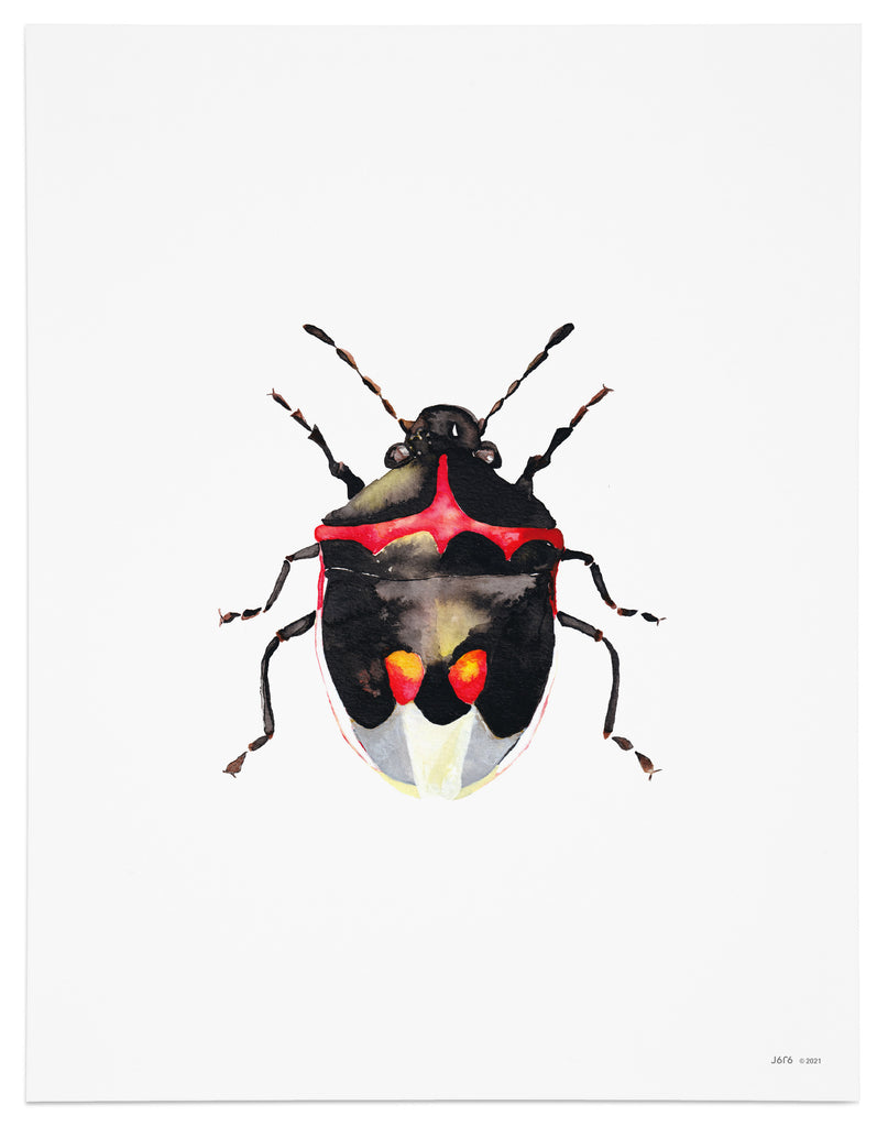 stink bug art print