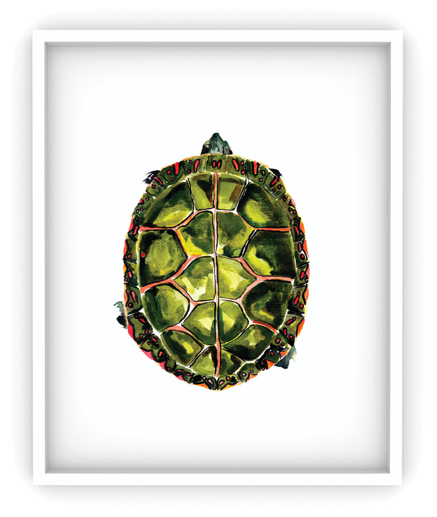 framed painted turtle art print