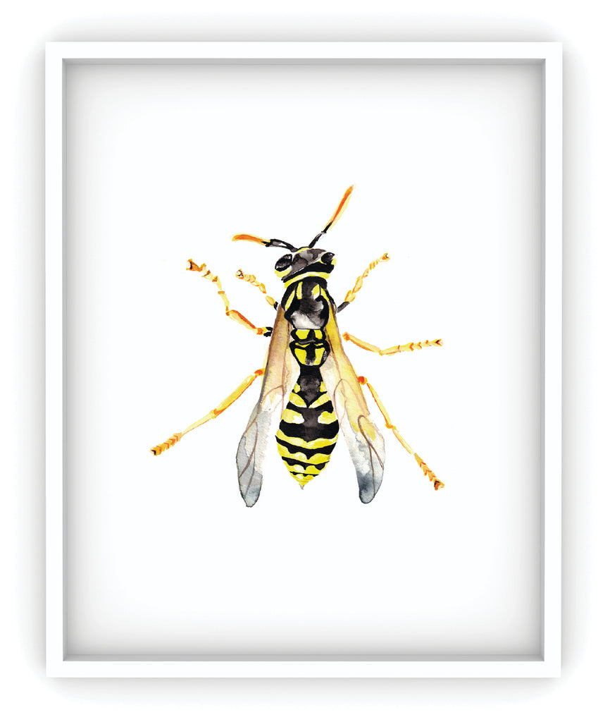 framed wasp art print