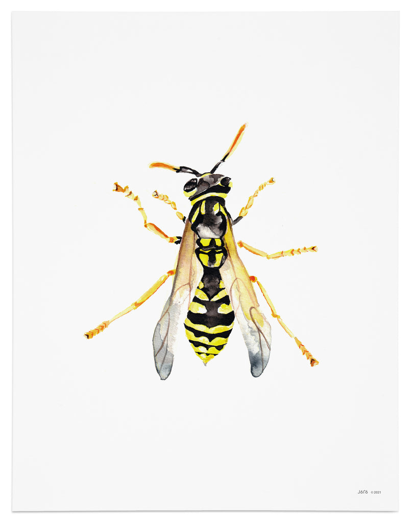 yellow and black wasp art print